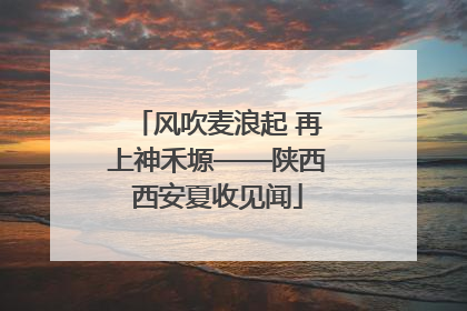 风吹麦浪起 再上神禾塬——陕西西安夏收见闻