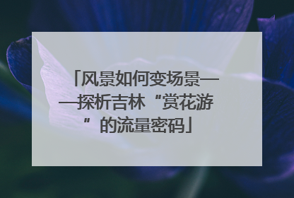 风景如何变场景——探析吉林“赏花游”的流量密码