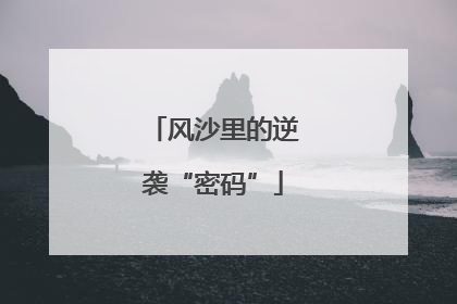 风沙里的逆袭“密码”