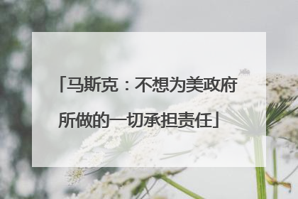马斯克：不想为美政府所做的一切承担责任