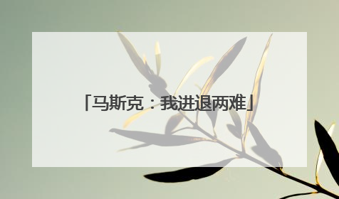 马斯克：我进退两难