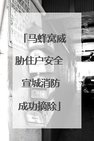 马蜂窝威胁住户安全 宣城消防成功摘除