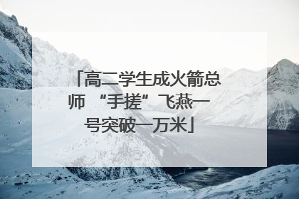 高二学生成火箭总师 “手搓”飞燕一号突破一万米