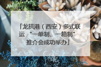 龙拱港（西安）多式联运 “一单制、一箱制” 推介会成功举办