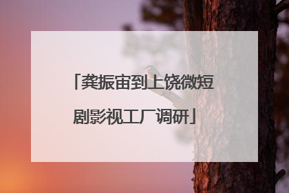 龚振宙到上饶微短剧影视工厂调研