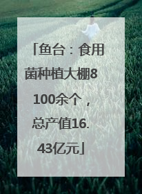 鱼台：食用菌种植大棚8100余个，总产值16.43亿元