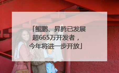 鲲鹏、昇腾已发展超665万开发者，今年将进一步开放