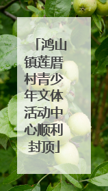 鸿山镇莲厝村青少年文体活动中心顺利封顶
