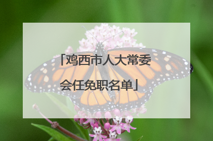 鸡西市人大常委会任免职名单