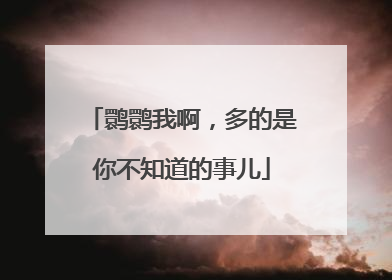 鹮鹮我啊，多的是你不知道的事儿