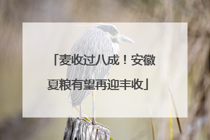 麦收过八成！安徽夏粮有望再迎丰收