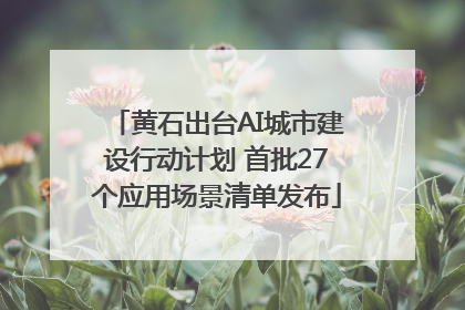 黄石出台AI城市建设行动计划 首批27个应用场景清单发布