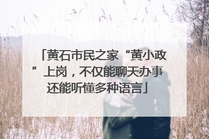 黄石市民之家“黄小政”上岗，不仅能聊天办事还能听懂多种语言