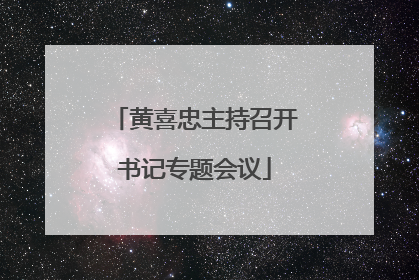 黄喜忠主持召开书记专题会议