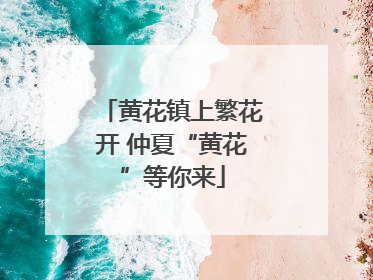 黄花镇上繁花开 仲夏“黄花”等你来