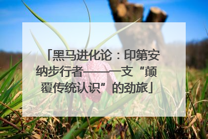 黑马进化论：印第安纳步行者——一支“颠覆传统认识”的劲旅