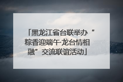 黑龙江省台联举办“粽香迎端午·龙台情相融”交流联谊活动