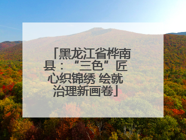 黑龙江省桦南县：“三色”匠心织锦绣 绘就治理新画卷