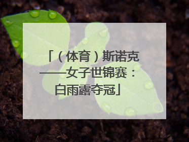 （体育）斯诺克——女子世锦赛：白雨露夺冠