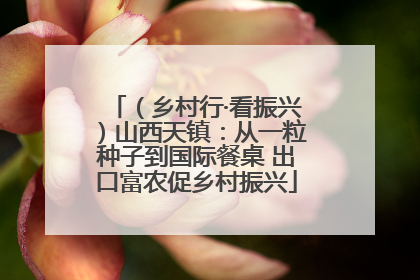 （乡村行·看振兴）山西天镇：从一粒种子到国际餐桌 出口富农促乡村振兴