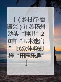 （乡村行·看振兴）江苏扬州沙头“种出”20亩“玉米迷宫” 民众体验别样“田园乐趣”