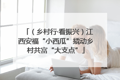 （乡村行·看振兴）江西安福“小西瓜”撬动乡村共富“大支点”