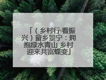 （乡村行·看振兴）畲乡景宁：拥抱绿水青山 乡村迎来共富蝶变
