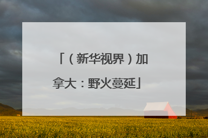 （新华视界）加拿大：野火蔓延