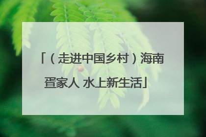 （走进中国乡村）海南疍家人 水上新生活