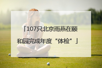 107只北京雨燕在颐和园完成年度“体检”