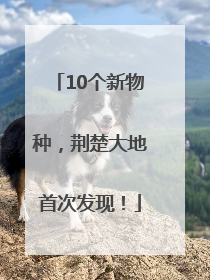 10个新物种，荆楚大地首次发现！