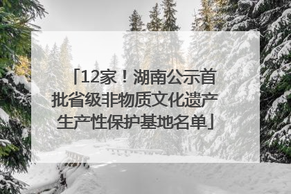 12家！湖南公示首批省级非物质文化遗产生产性保护基地名单