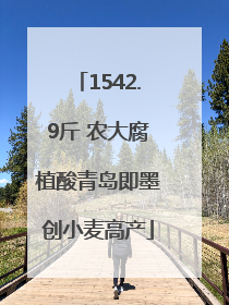 1542.9斤 农大腐植酸青岛即墨创小麦高产