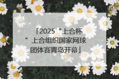 2025“上合杯”上合组织国家网球团体赛青岛开幕