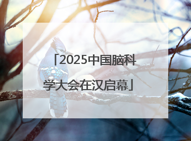 2025中国脑科学大会在汉启幕