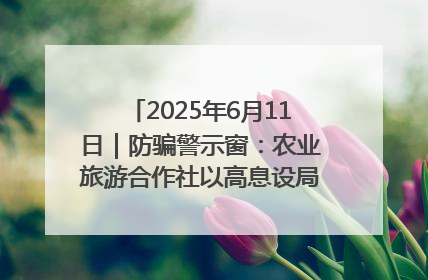 2025年6月11日｜防骗警示窗：农业旅游合作社以高息设局，集资380万