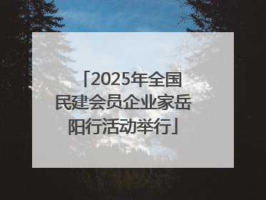 2025年全国民建会员企业家岳阳行活动举行