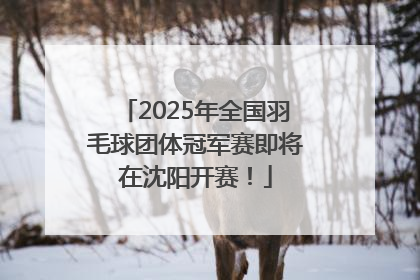 2025年全国羽毛球团体冠军赛即将在沈阳开赛！