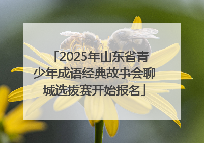 2025年山东省青少年成语经典故事会聊城选拔赛开始报名