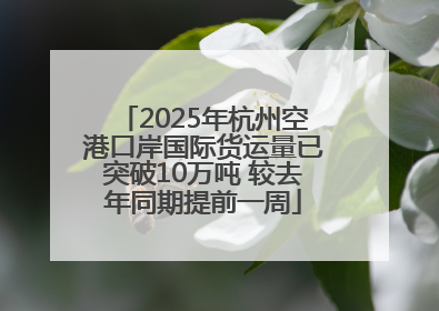 2025年杭州空港口岸国际货运量已突破10万吨 较去年同期提前一周