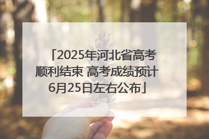 2025年河北省高考顺利结束 高考成绩预计6月25日左右公布