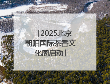2025北京朝阳国际茶香文化周启动