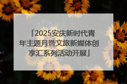 2025安庆新时代青年主题月暨文旅新媒体创享汇系列活动开展