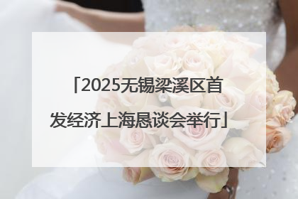 2025无锡梁溪区首发经济上海恳谈会举行