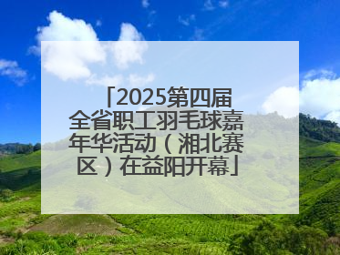 2025第四届全省职工羽毛球嘉年华活动（湘北赛区）在益阳开幕