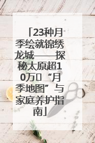 23种月季绘就锦绣龙城——探秘太原超10万㎡“月季地图”与家庭养护指南