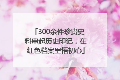 300余件珍贵史料串起历史印记，在红色档案里悟初心