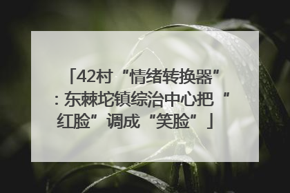 42村“情绪转换器”：东棘坨镇综治中心把“红脸”调成“笑脸”