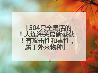 504只全是活的！大连海关最新截获！有攻击性和毒性，属于外来物种