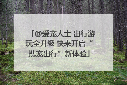 @爱宠人士 出行游玩全升级 快来开启“携宠出行”新体验